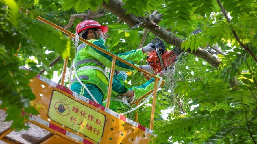 廣元園林綠化有限公司中標