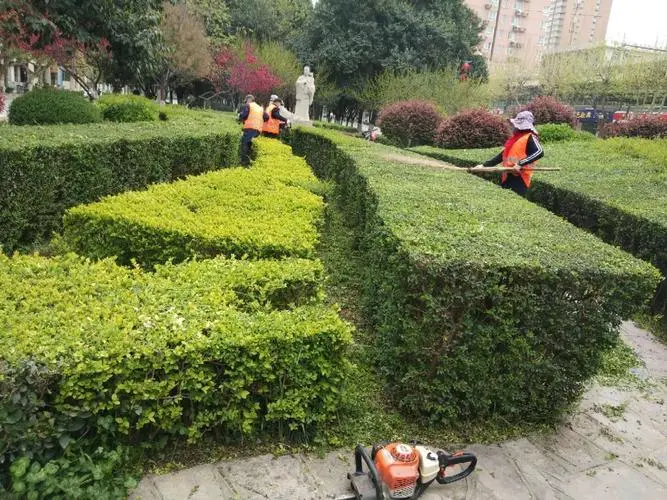 浙江新能源園林綠化工程施工